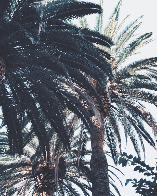 FIDM's tweet photo. #Q3: What place around your FIDM Campus is a must-see for newcomers? #NewToFIDM https://t.co/WNtuJmsWTm