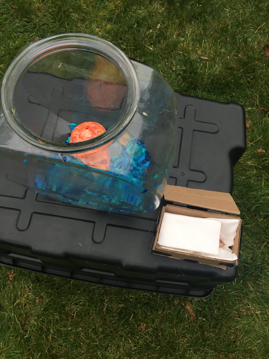 maxrath_'s tweet image. My goldfish died so of course we had to hold a funeral in honor of his long 6 month life🐟 #ripgerald
