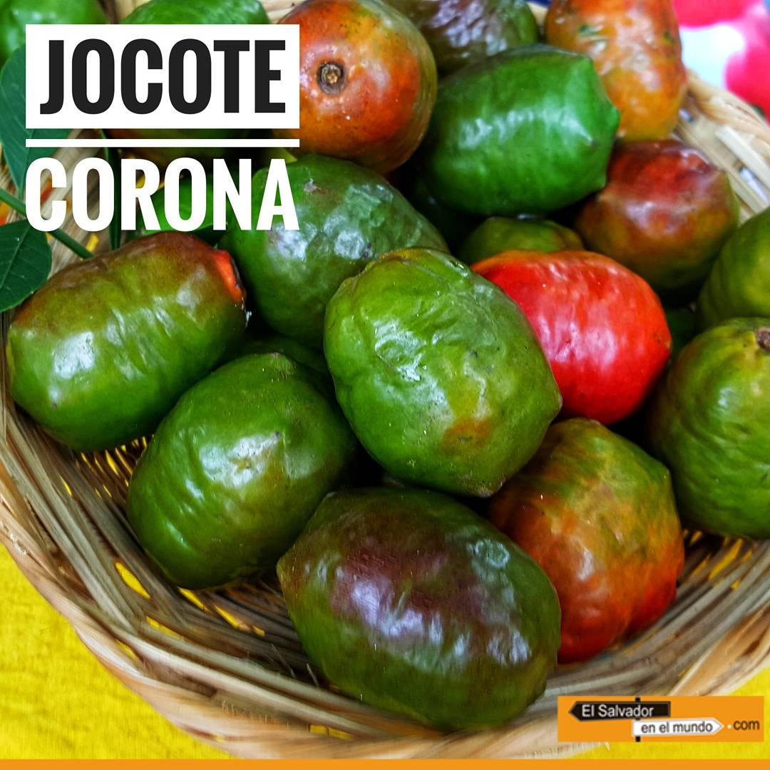 ESAmundo's tweet image. @ISTU_Elsalvador celebrará el Festial del Jocote Corona en el Cerro Verde este 14 y 15 de octubre ¿Se te antoja?