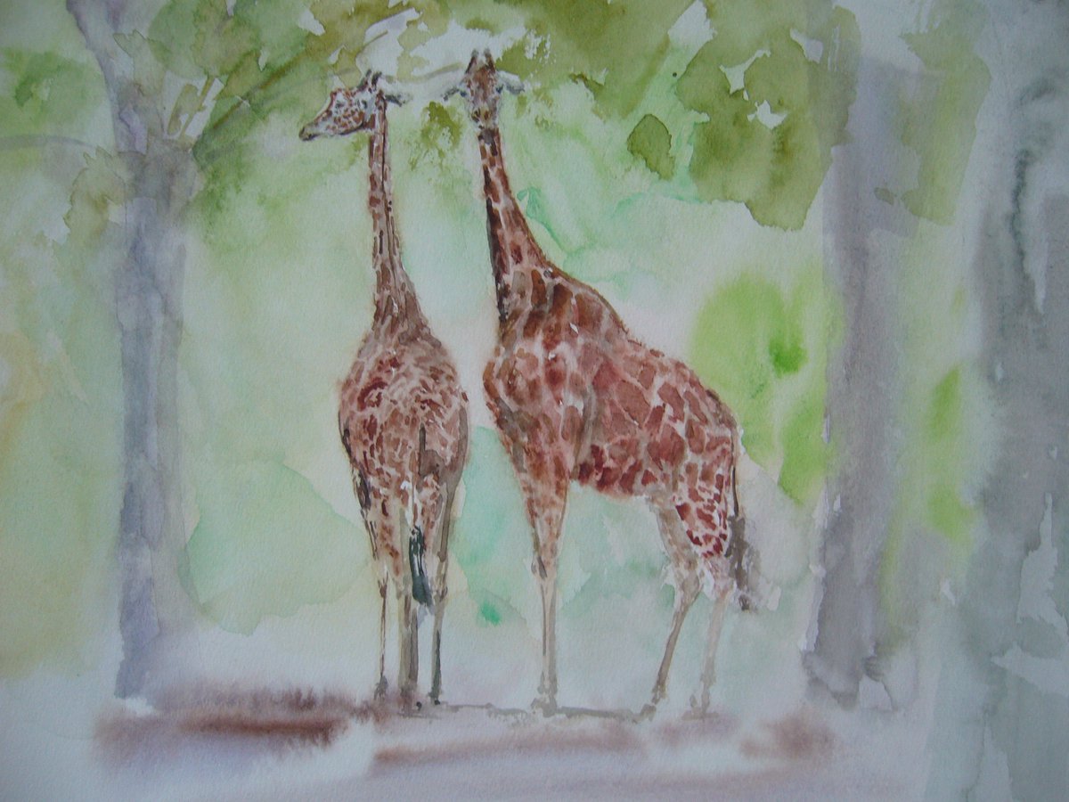 動物絵描きの 髙橋英雄です キリン そろって モグモグと します 一度 食べた草を 口の中で かみ直して 栄養にします 首を伸ばして 高い所から 周りを眺めます なぜ 首は長いのか なぜ 角は有るのか 生きものたちにとって なぜは無いよう