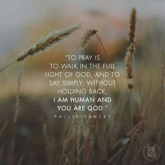 LordPostsig's tweet image. 