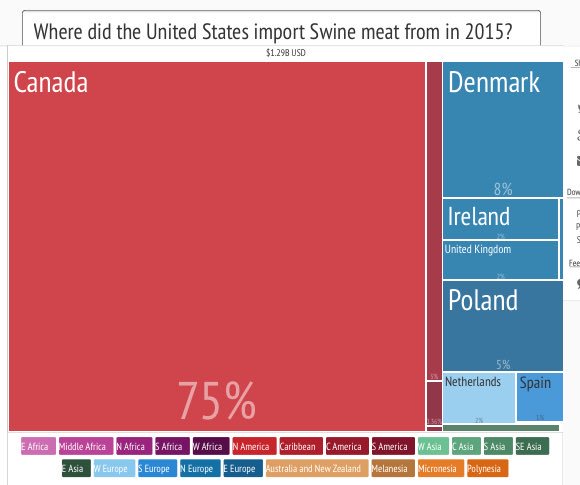 Laura Cohen Escobar tweet media