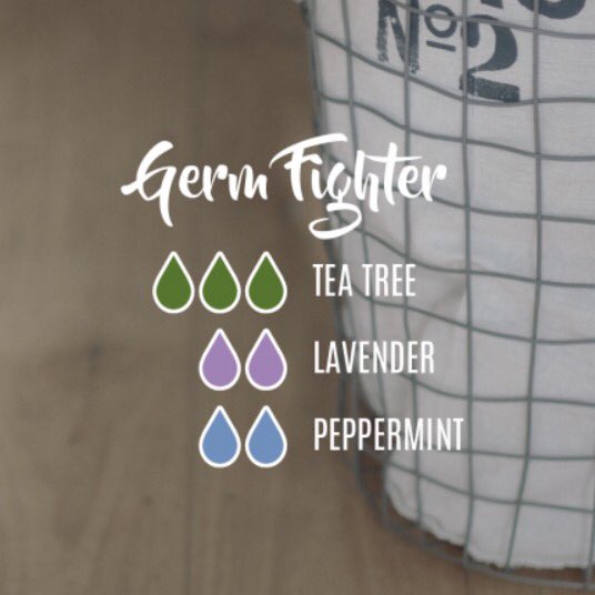 FreyasBaby's tweet image. #TodaysBlend