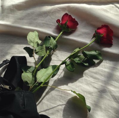 i fall to pieces when i'm with you - lana del rey- cherry 🍒