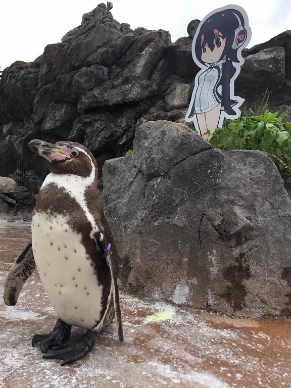 2次元に恋したフンボルトペンギンのグレープくん、フルルちゃんに看取られ天国へ…