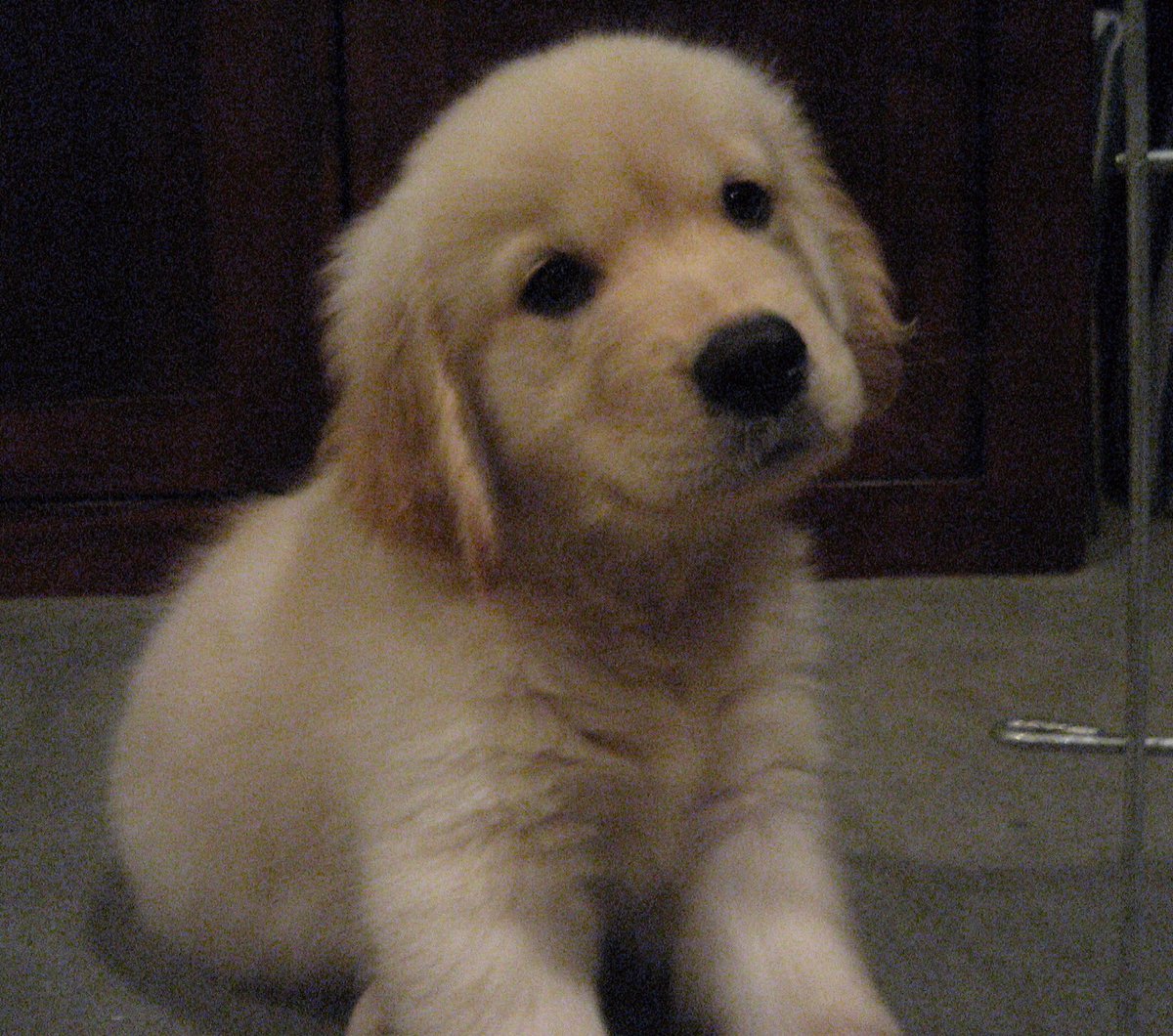 G'night, Little Boo.