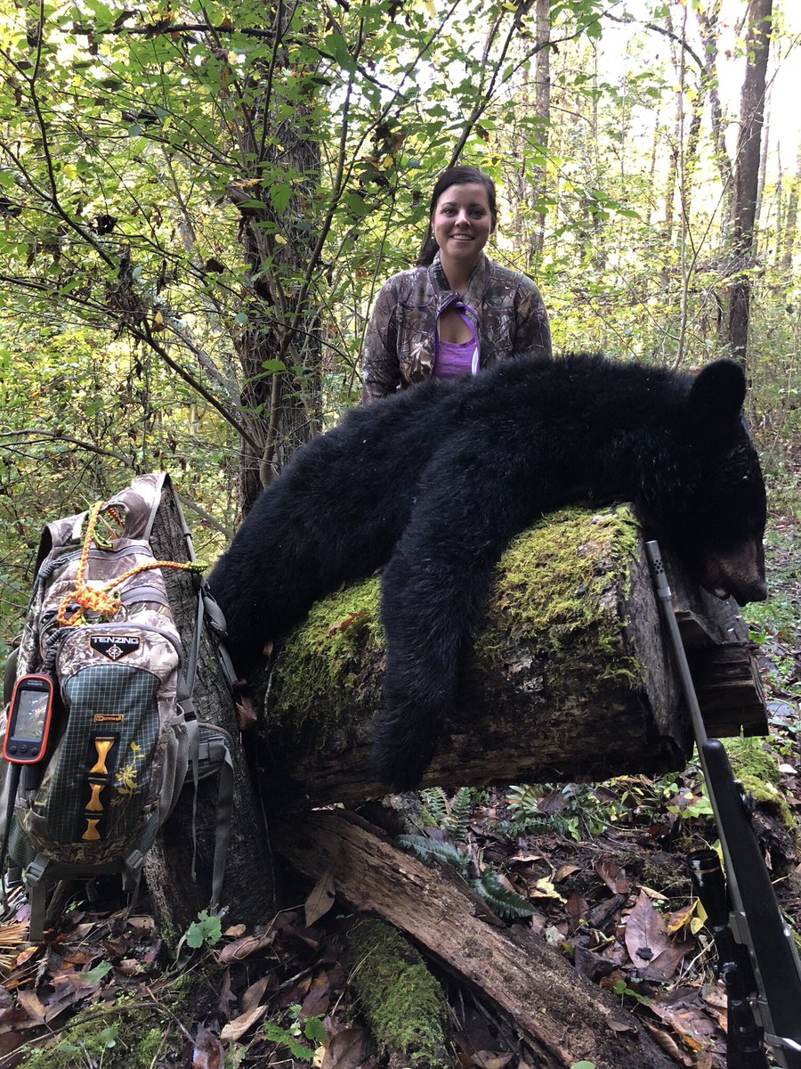 2017 West Virginia Black Bear