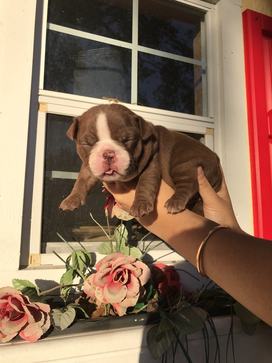 chrriisttina's tweet image. i had a photo shoot for my kids🤧