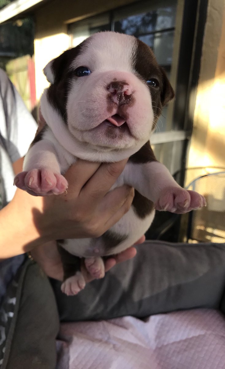 chrriisttina's tweet image. i had a photo shoot for my kids🤧