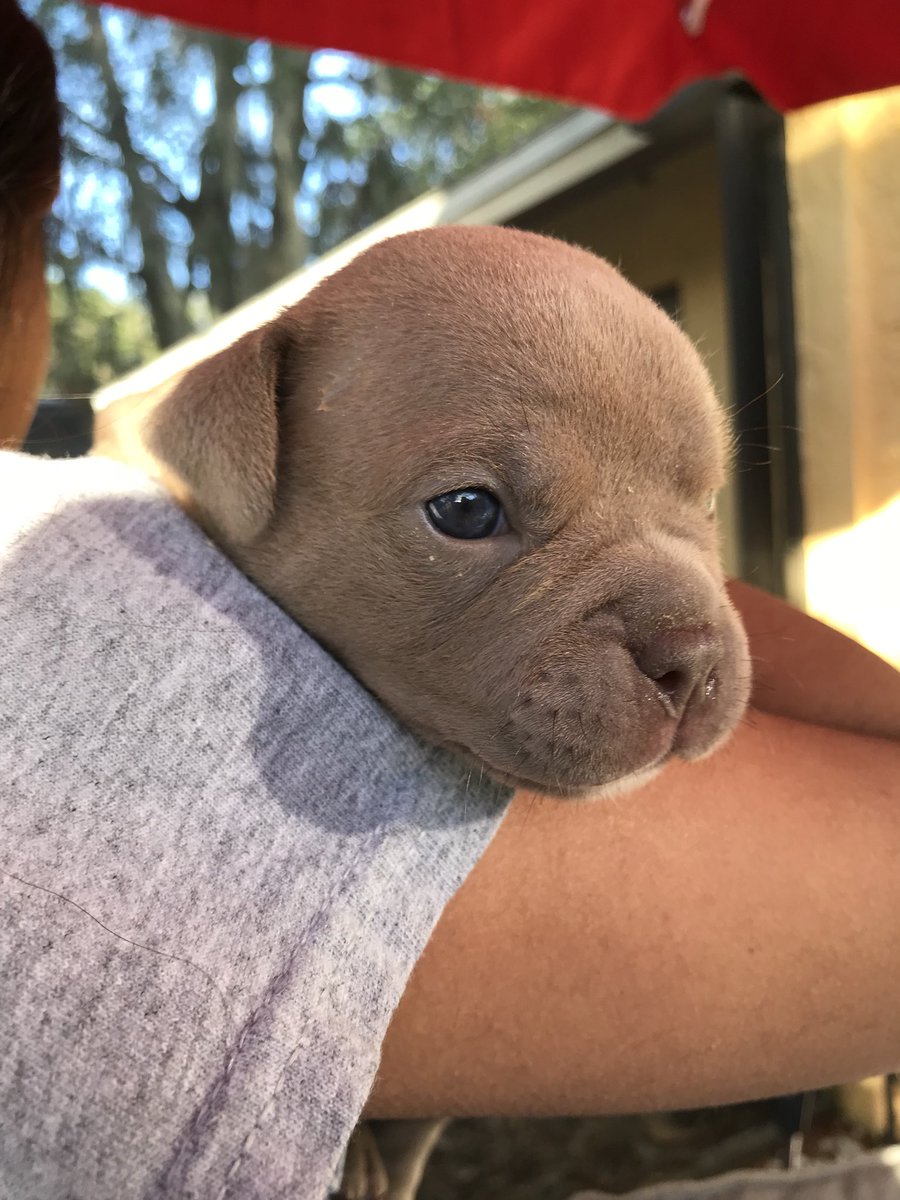 chrriisttina's tweet image. i had a photo shoot for my kids🤧