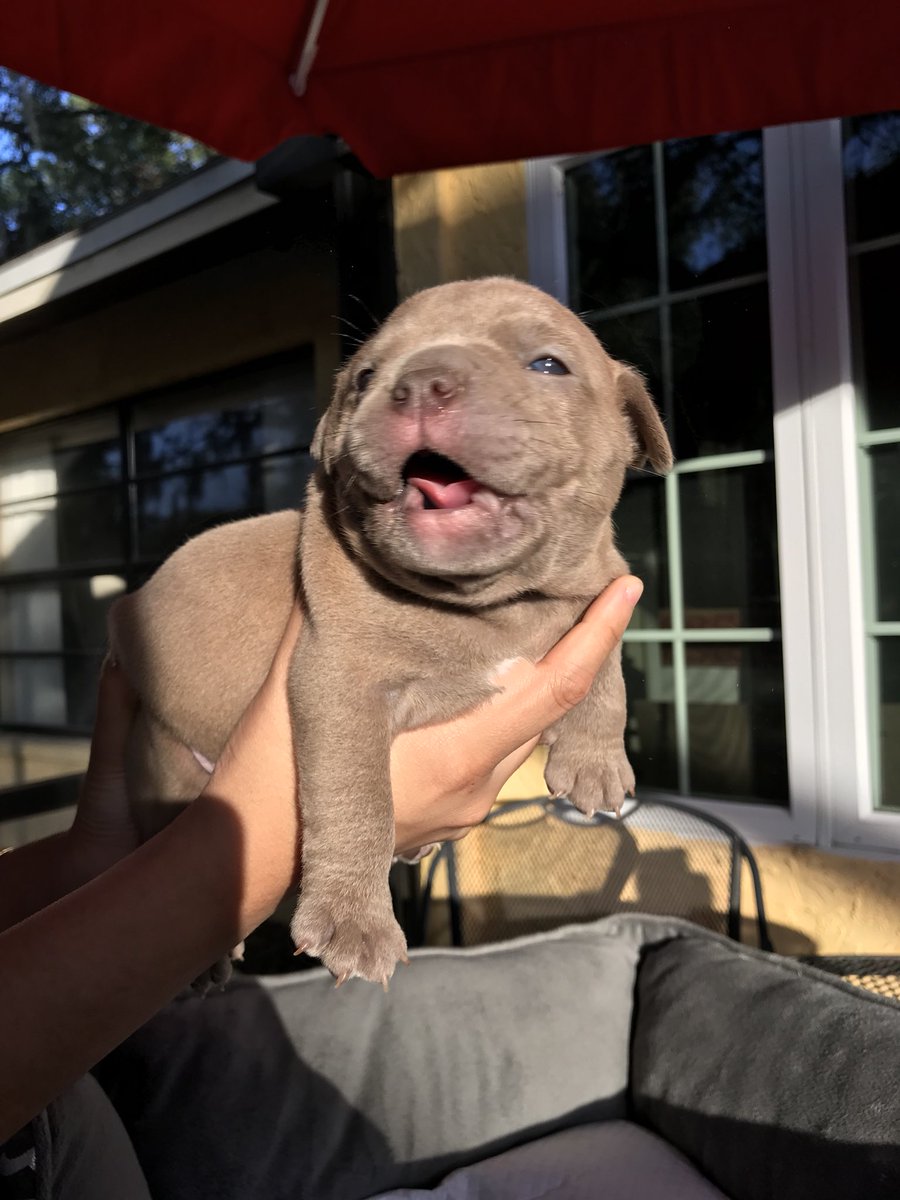 chrriisttina's tweet image. i had a photo shoot for my kids🤧