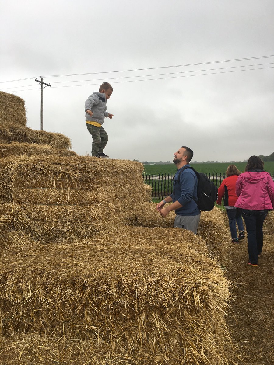 mrsamysclass's tweet photo. Our littles love working on those gross motor skills! Climbing, sliding, and jumping on the hay stacks https://t.co/ArCrvjFABV