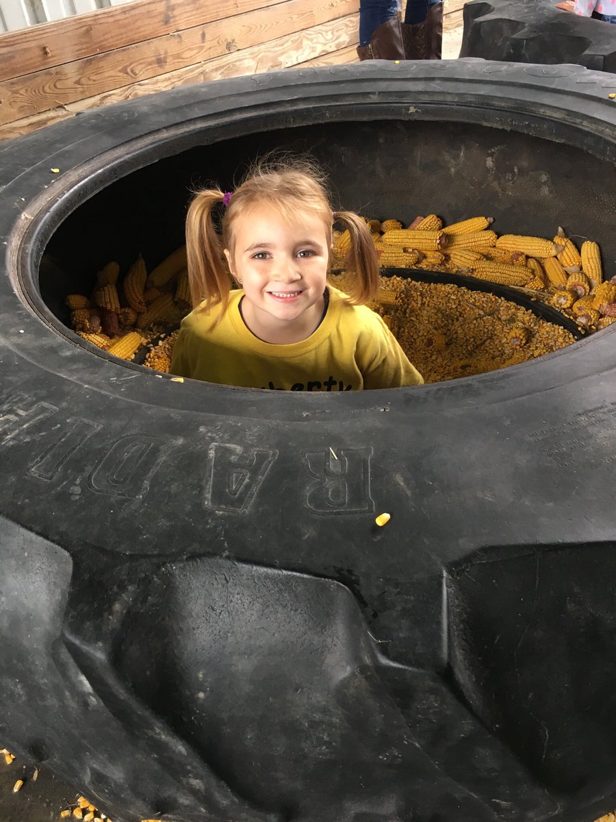 mrsamysclass's tweet photo. The morning class loves #learningthroughplay and @KelsayFarms does not disappoint! https://t.co/ODpC4lBoyN