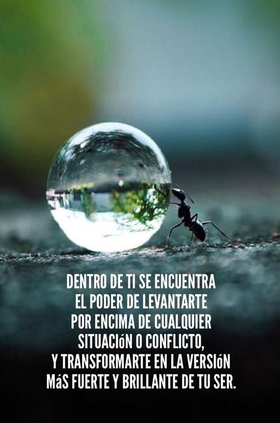 Obnn_official's tweet photo. ¡Nunca te rindas! 💪🏼😁

#OnlyBeautifulNewsNetwork #Obnn Visita nuestro sitio web: https://t.co/u8fPL9DmEN https://t.co/VEN4aOGbmS