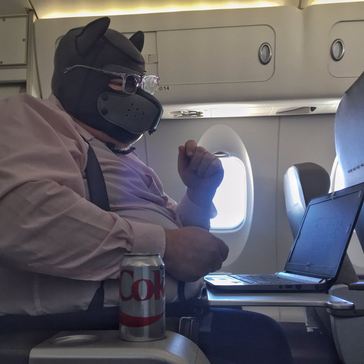 wooferSTL's tweet photo. the high-flying life of #execupup! #SIRshappymutt https://t.co/Gi39vCtH5C