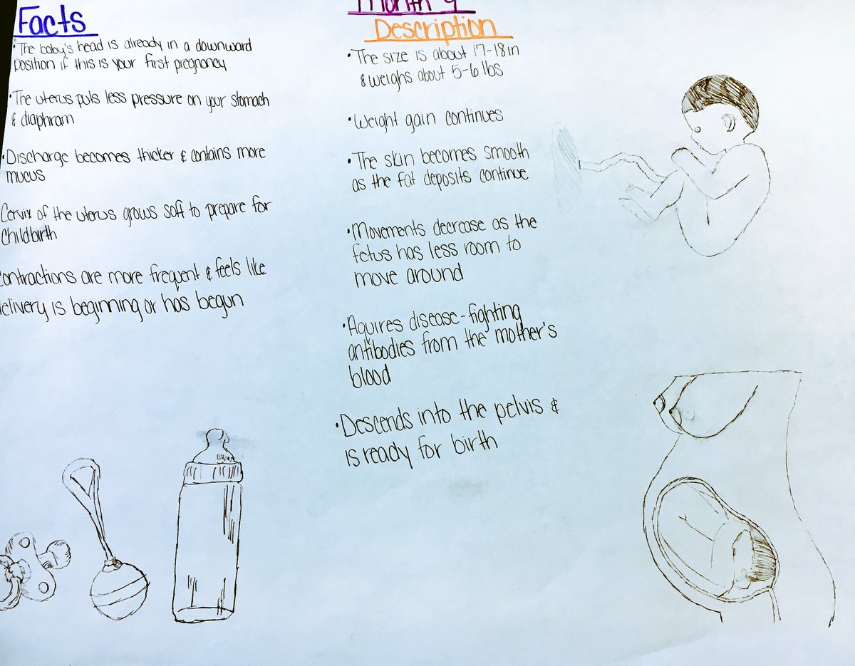 Mrs_Dirksen's tweet photo. LHS child development students did an awesome job on their posters #LHSFCS #iheart186 https://t.co/LQoRcHd74P