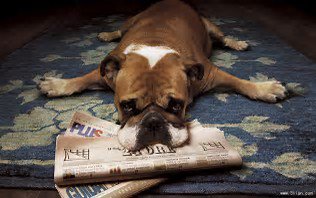 Intellileash's tweet photo. I'm tired of reading all this #FakeNews https://t.co/Sj2Vok71zy