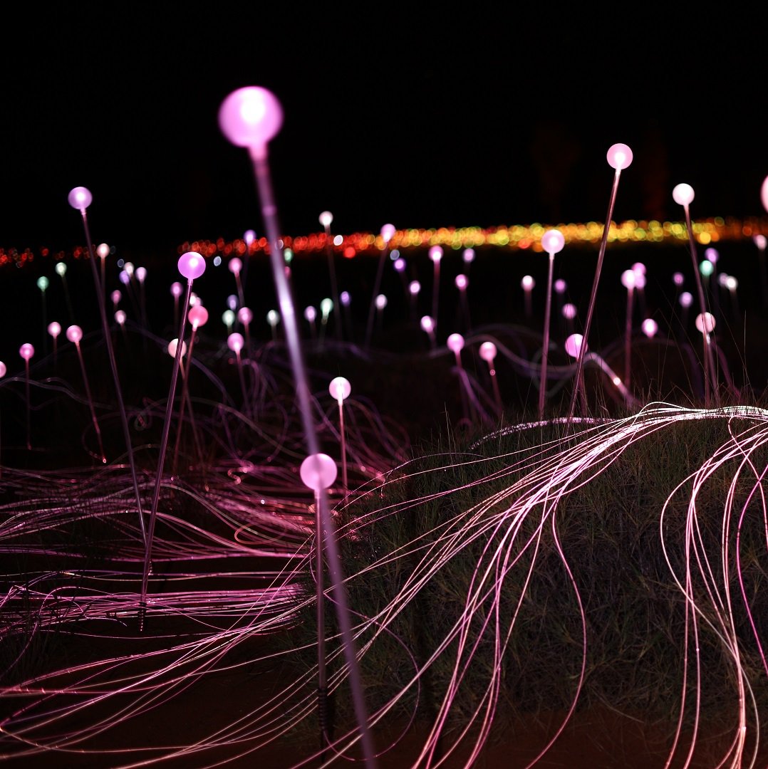 We are absolutely in love with the Field of Light installation in Uluru! #FieldofLights #Uluru #TerritoryDiscoveries