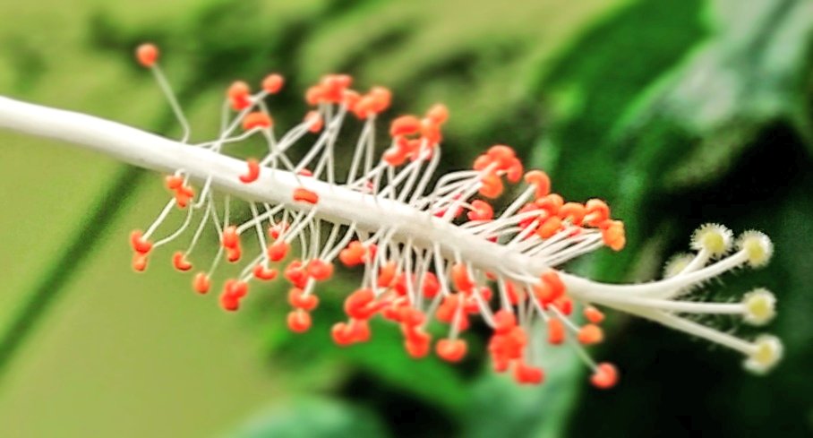 rvkoushik's tweet image. #MakeDigitalReal #DigitalIndia start up stage... And acceleration...@_DigitalIndia @Mindtree_Ltd