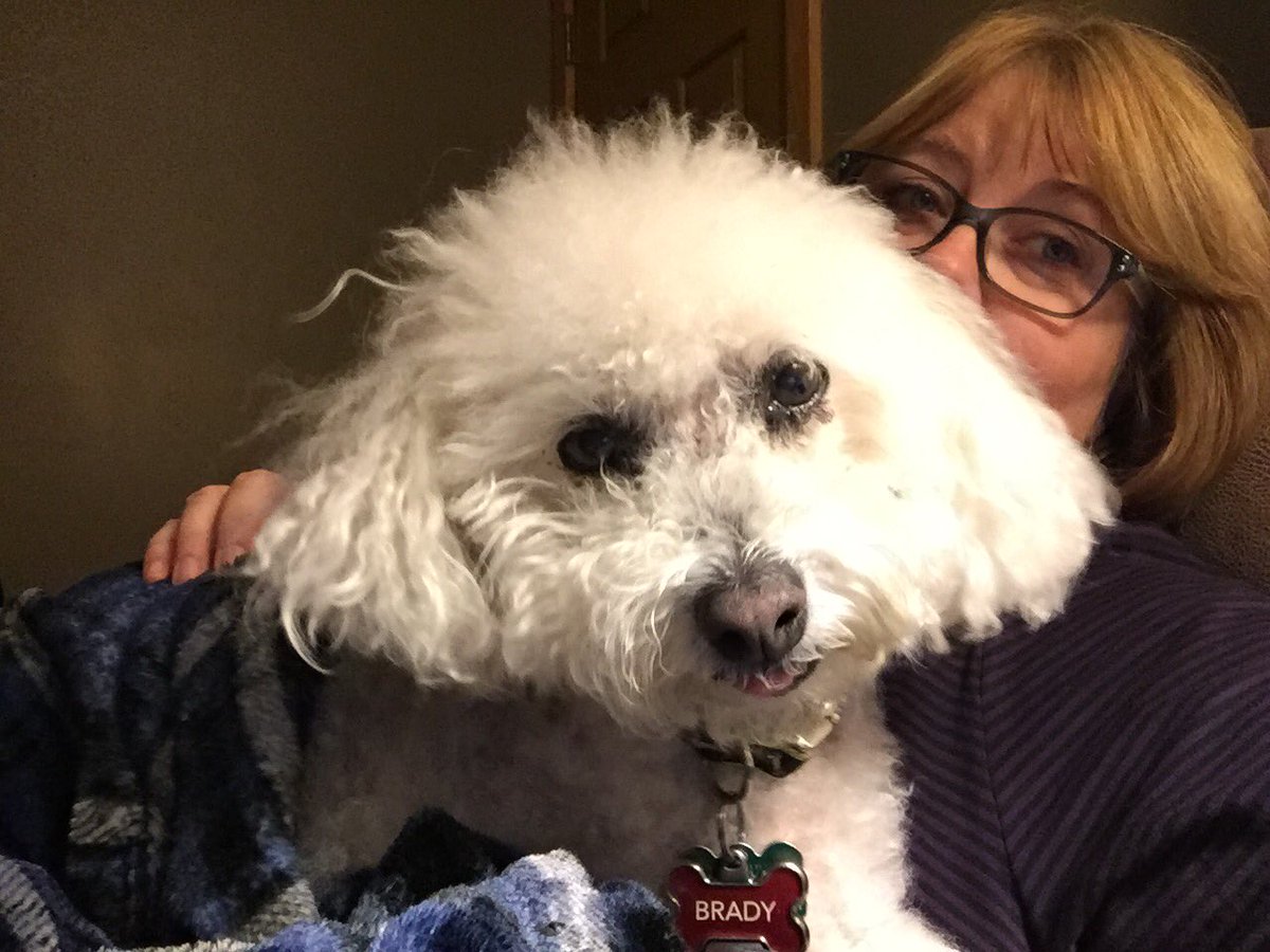Sandy_Mackey's tweet photo. My poor boy. Not sure he’s gonna make it much longer. Time for cuddles. #DevilsTrifecta https://t.co/hJS81Euvdg
