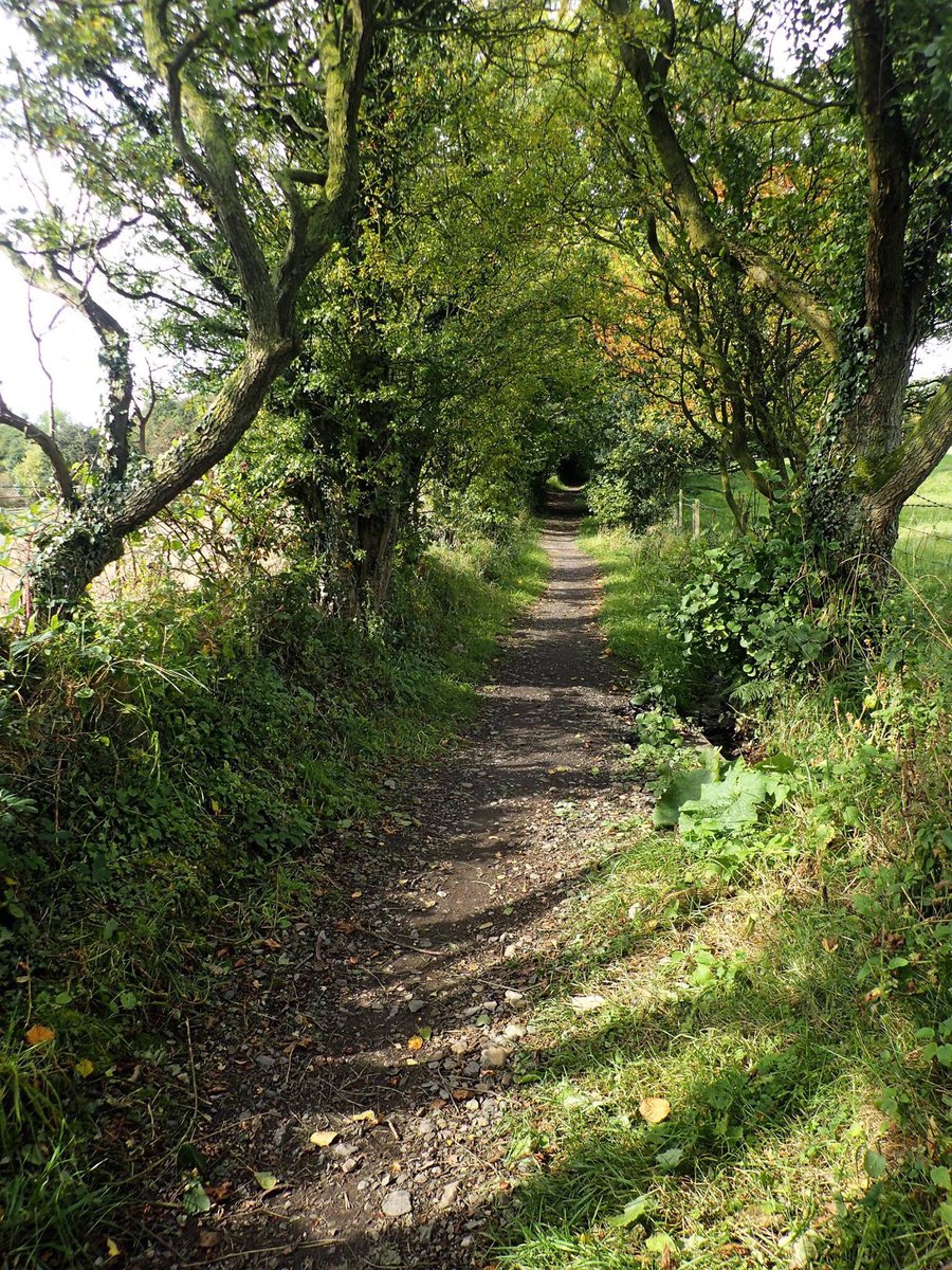 bossproofreader's tweet photo. The road to Middle Earth, flanked by rowan, hawthorn, elder, holly and ash (nr Salterforth, Yorkshire).
#HowardBeck https://t.co/tvdxKjLp2L
