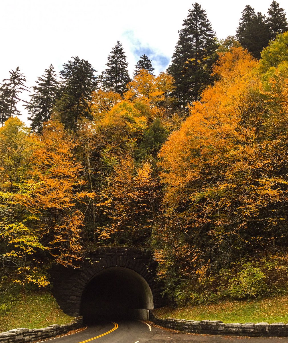 MobileKeyShop's tweet image. Lots of color at the higher elevations in the park today!