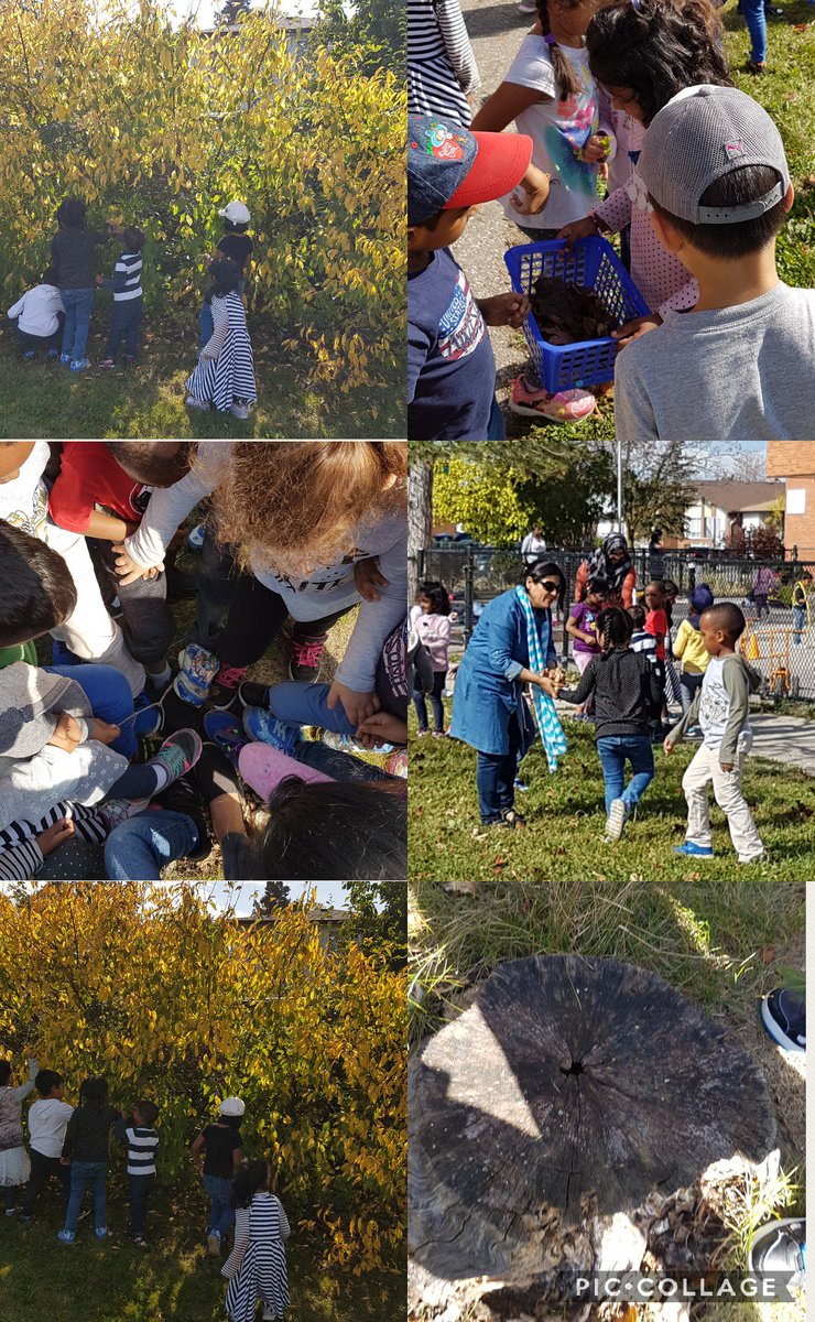 a_scarafile's tweet photo. Our first nature walk! #leafinquiry @BrandonGatePS https://t.co/UTICbWgBBr