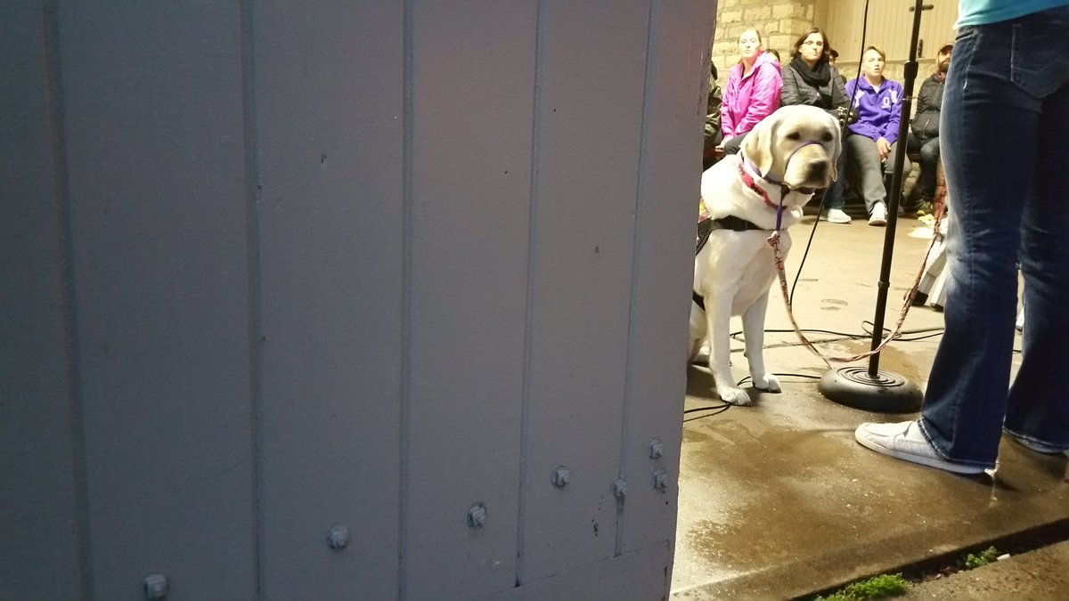 LXWI's tweet image. Sammy listens to a pitch at La Crosse SOUP. #laxwi