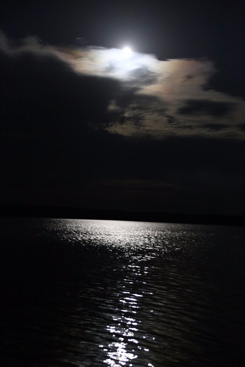 Stacey_Kennedy's tweet image. The night we saw shooting stars! 🌠 #SharbotLake #MissingThisView 
(Photo Credit: The Hubby)