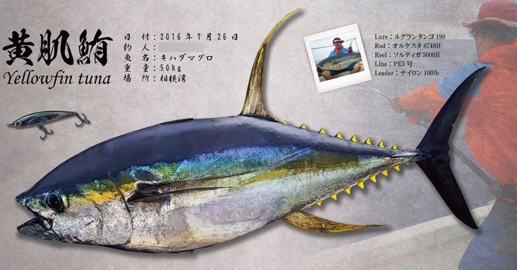bakufishing's tweet photo. 相模湾の50kgのキハダマグロで魚拓を制作させていただきました。
キハダマグロとのファイトシーンを背景に！
ヒットルアーも掲載させていただきました。
#キハダマグロ #デジタル魚拓 #魚拓 #カラー魚拓 #美濃和紙 #ルグランタ… https://t.co/kzKKIjqWqp https://t.co/i3DwxRQvfP