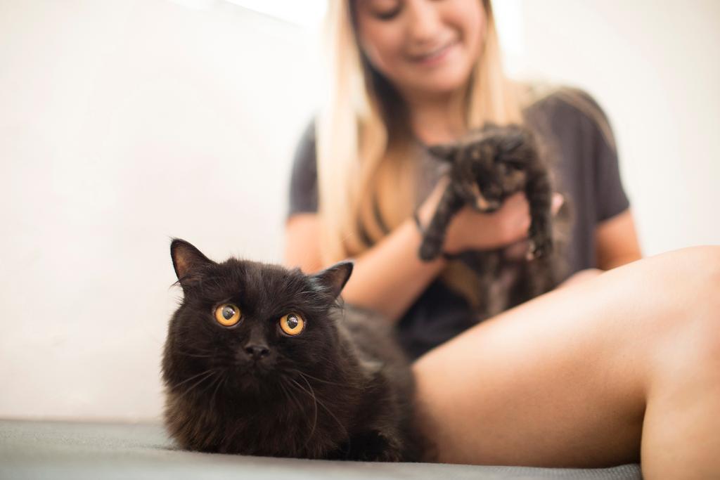 Zappos's tweet image. Florida, your turn for Friends on Us Fridays! Find your next furry friend now at zps.to/fouf17t #ZapposForPets #GetYourRescueOn