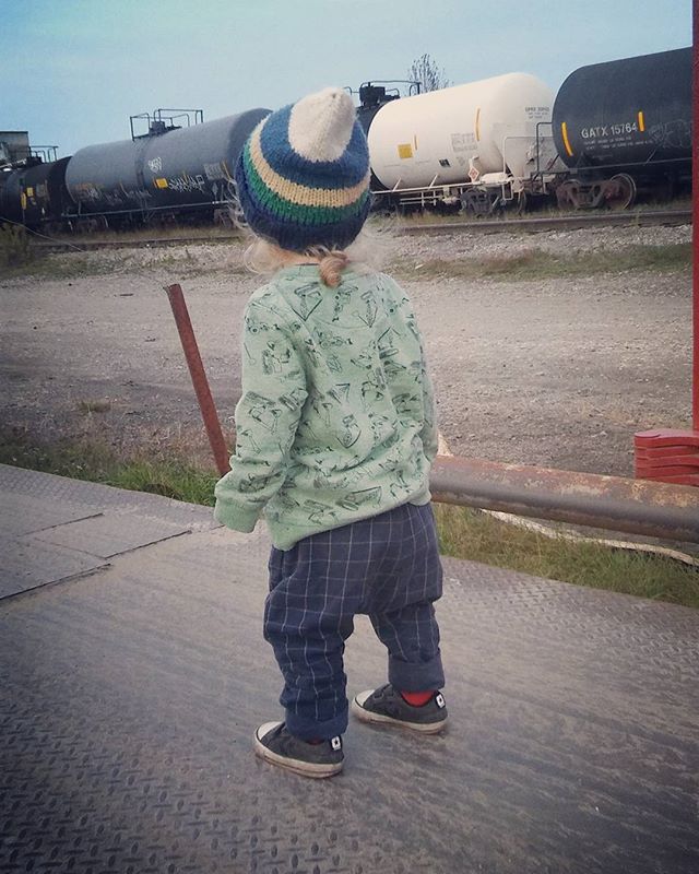 Lisa Murphy tweet media