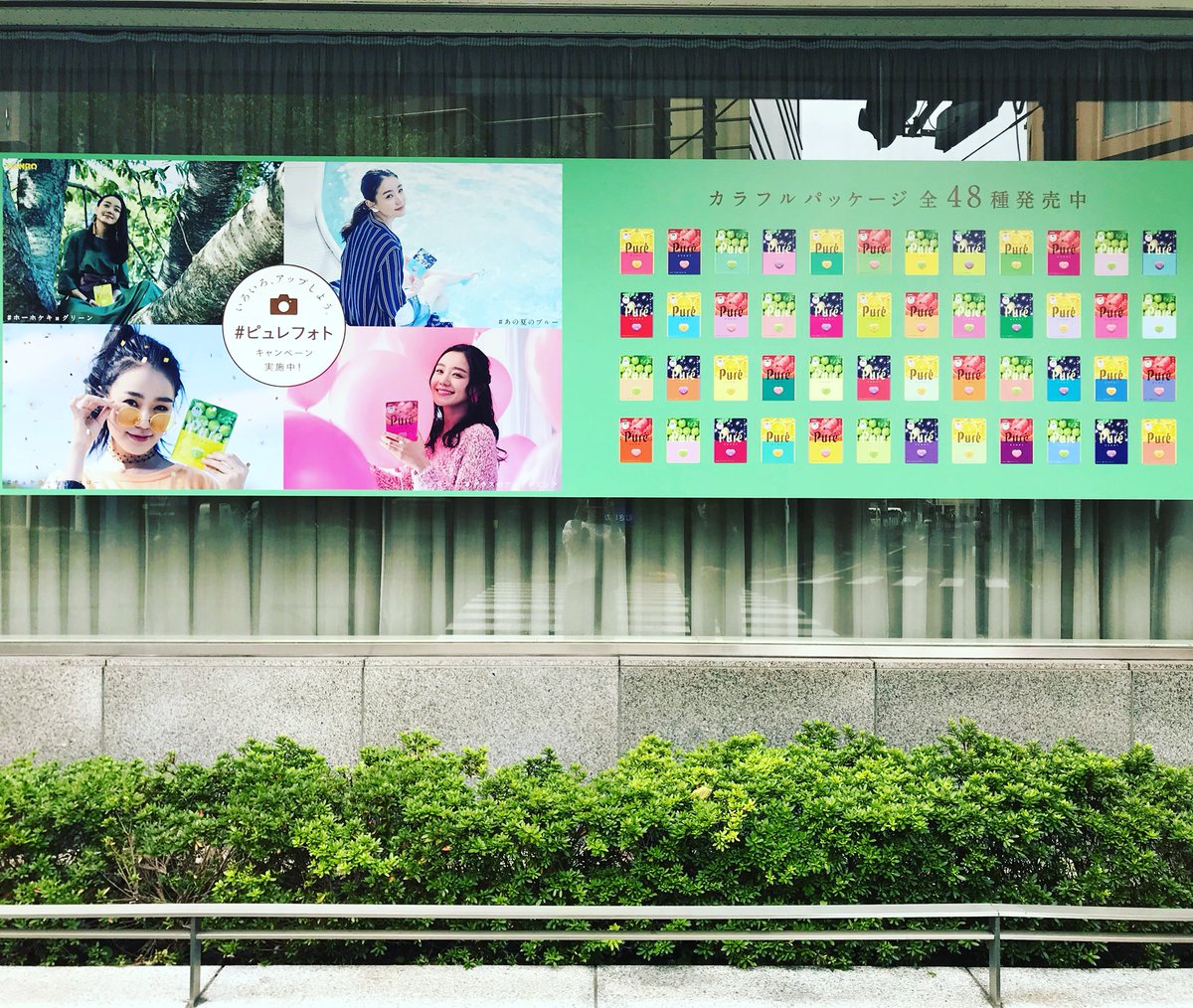 おはようございます☁︎今朝はカンロ本社のポスターをご紹介📷カラフル