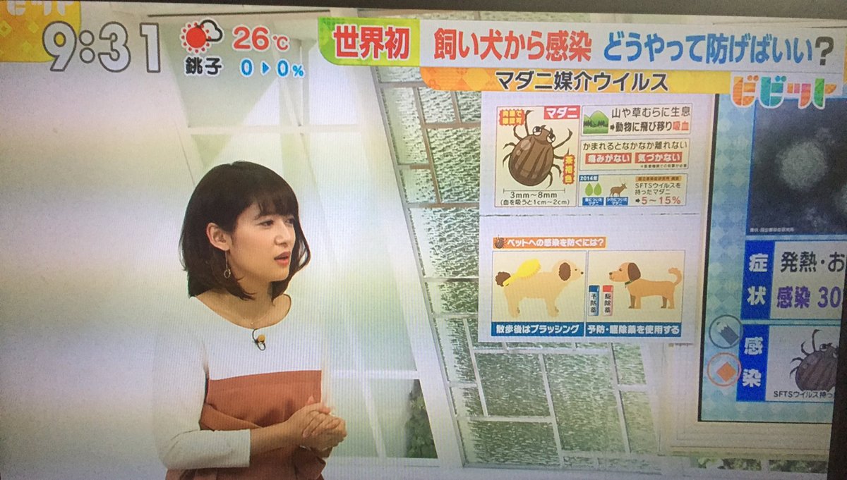 いのり A Twitter 首に垂らすスポットオン剤について ノミを予防するものなので ダニ用の予防薬が必要 とか 調べもしないで間違ったこと言わないでほしい 垂らすタイプにも色々種類ある マイフリやフィプロ等はノミだけでなくマダニもちゃんと防げるよ