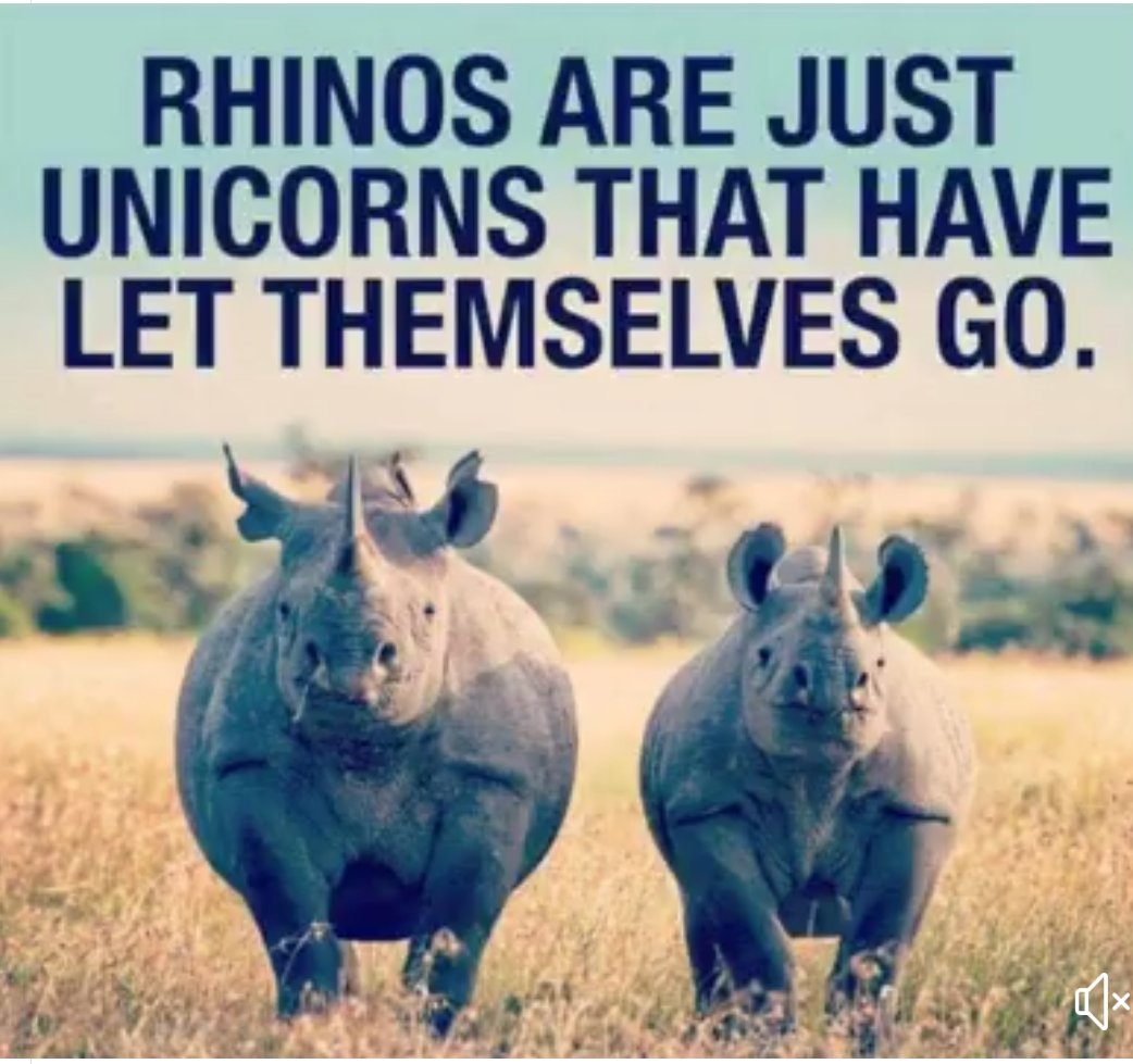 anthrgrlonadiet's tweet photo. So maybe I'm a rhino trying to get back to unicorn status https://t.co/jKuOYXvrBT