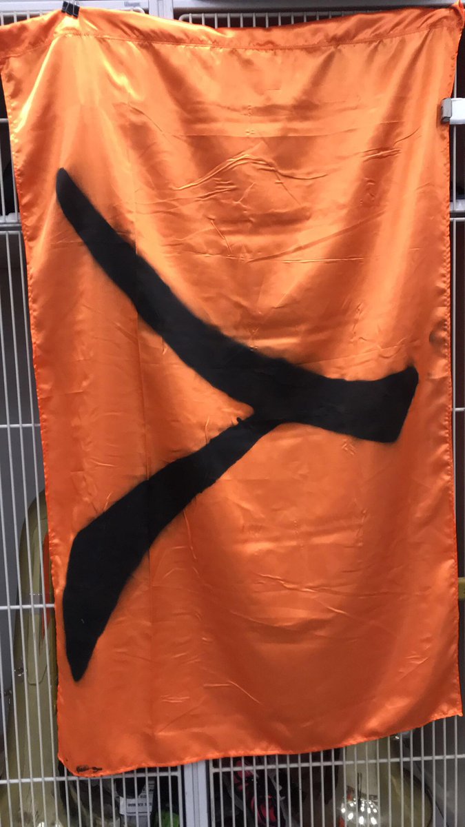 sheptonhsband's tweet photo. Flags for part 5!

#comingtogether  #ascension2017 #riseaboveyourself #ememet #silverstampedeguard https://t.co/VuhMmMiAio