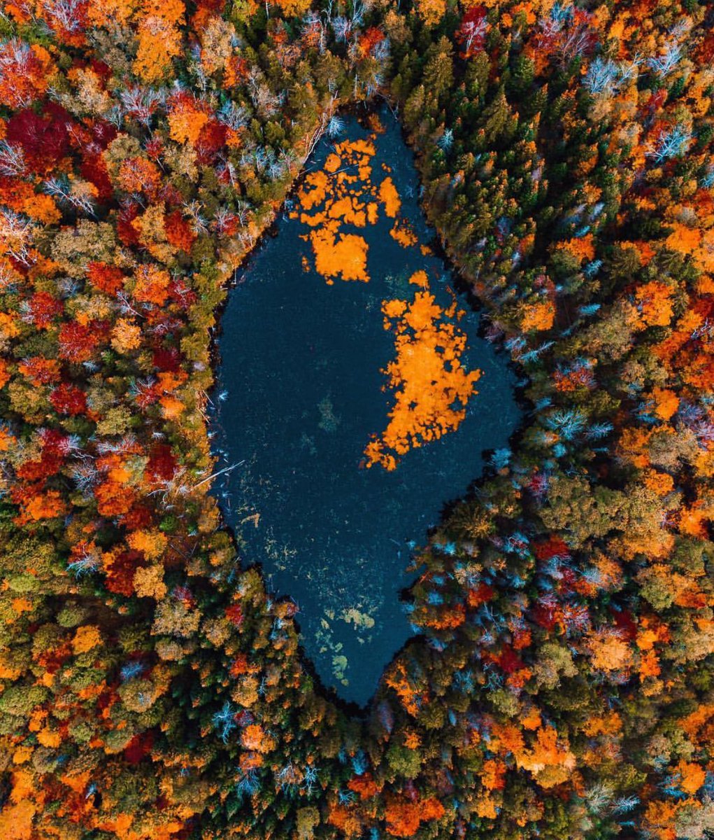 coffee_n_mtns's tweet photo. Fall in Vermont https://t.co/endQaCYnBm