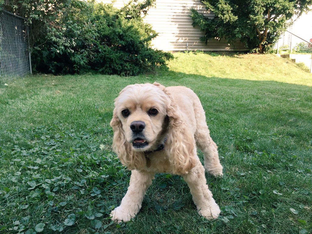 joeltyler_'s tweet photo. @darth THE cutest. https://t.co/RQN99woLHI