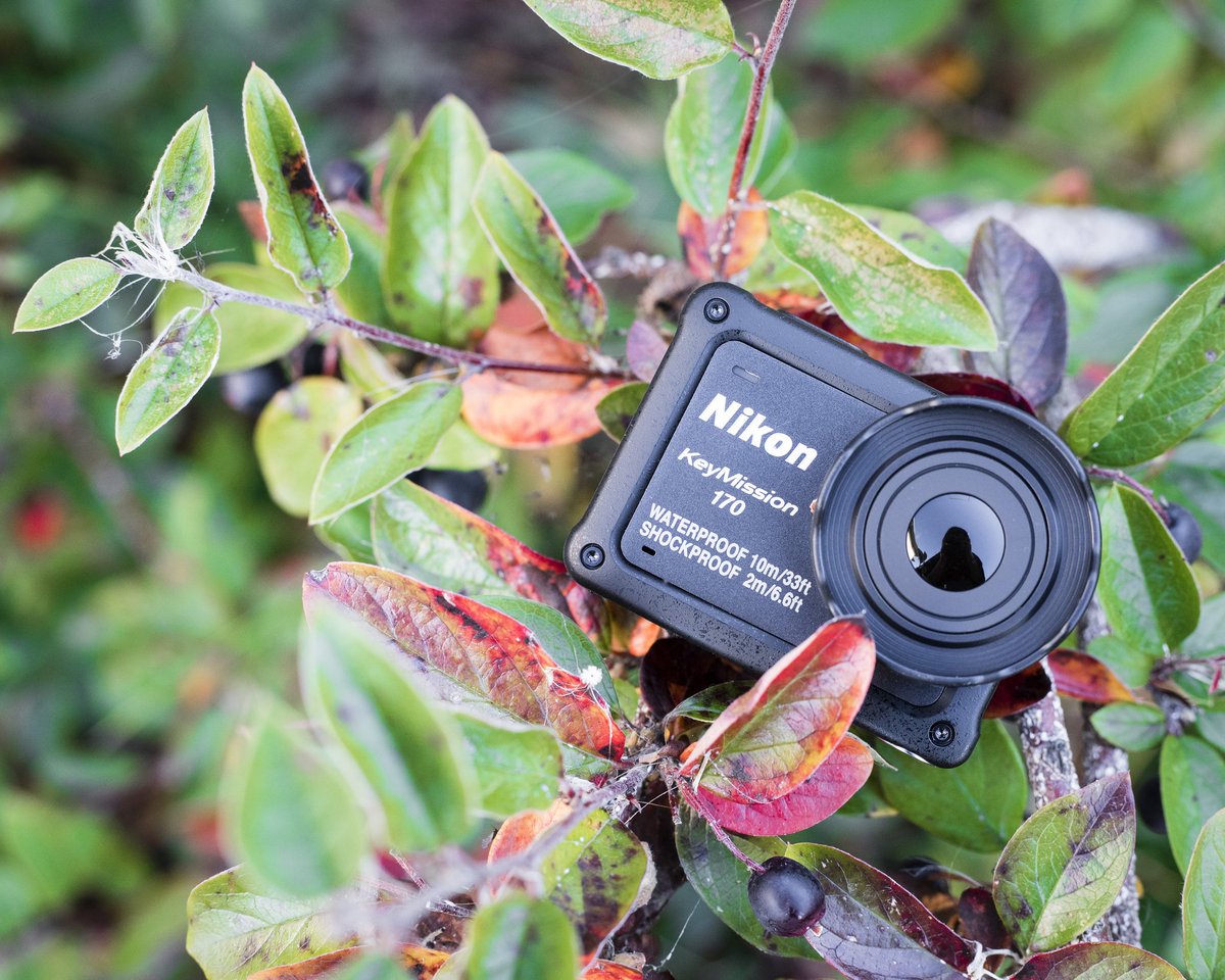 mcbaincamera's tweet photo. Capture fall from an epic 170° first person POV with the @NikonCanada #KeyMission 170

#Waterproof 🐾 #Shockproof 🐾 #Freezeproof #yeg #autumn https://t.co/rwNMjNwM89