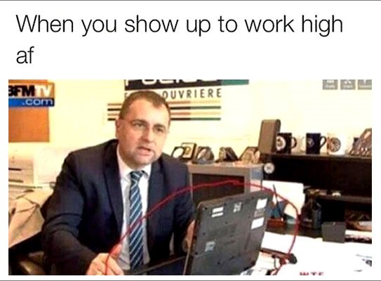 Marijuana Cannabis tweet media