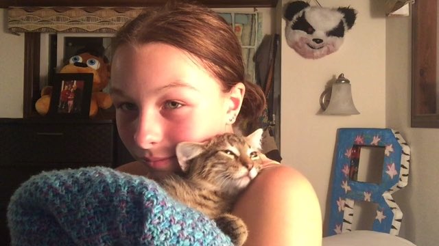 hammyluver's tweet photo. New fur baby Tiny https://t.co/8vbPzR60In