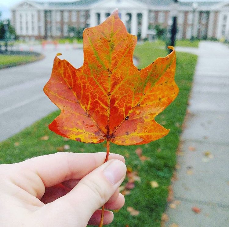 VisitCookeville's tweet photo. Fall-ing for fall. ๐
Insta๐ธ: @optimistic_chic
#fallinckvl #fallintn #madeintn #ckvlcool https://t.co/r2mQvfBBUN
