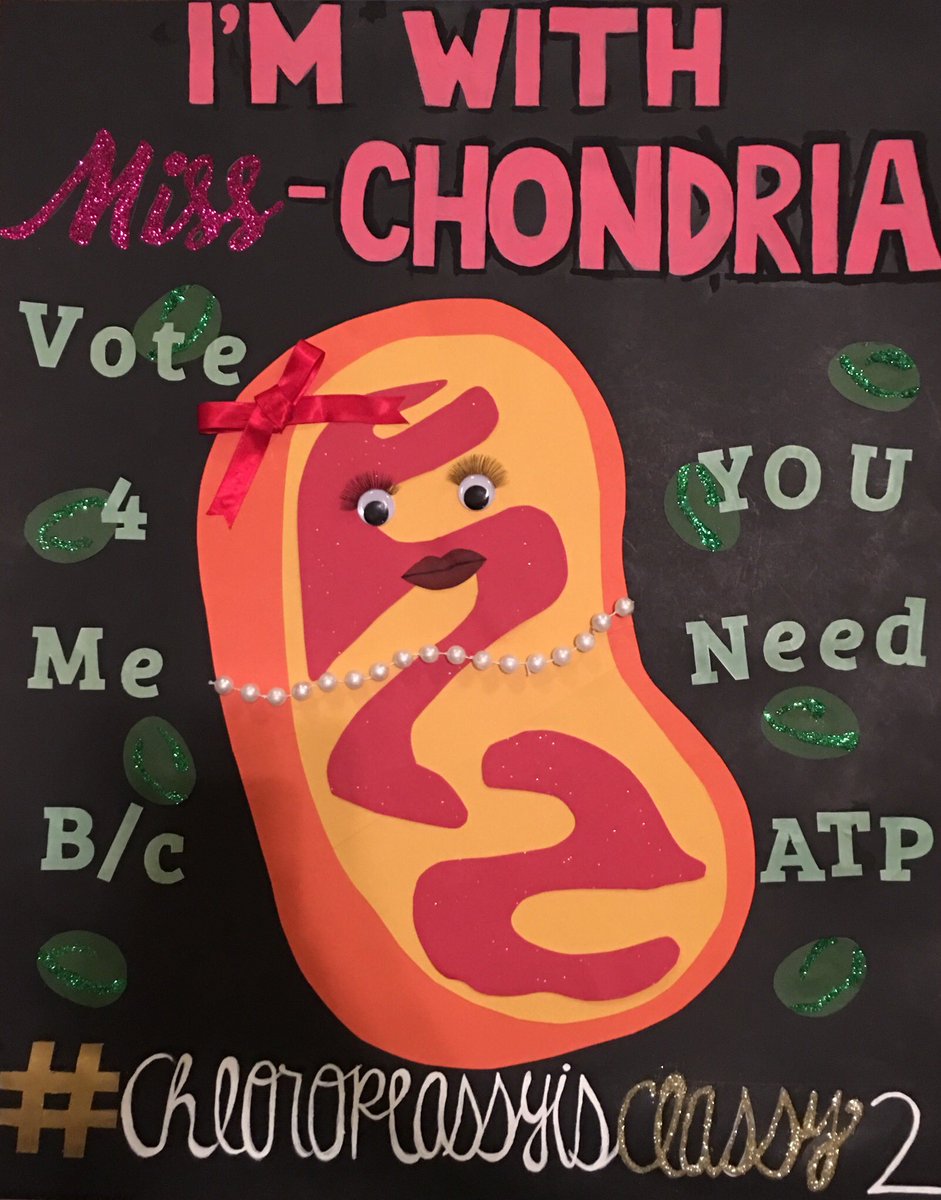 jilliantrann's tweet photo. Mitochondri-y’all should vote for #chloroplassyisclassy2 !!! https://t.co/mXtvTU8RDS