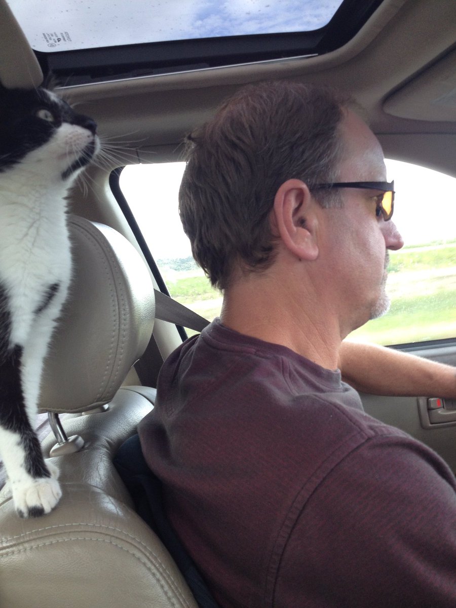 logan3tee's tweet photo. I thought this picture was funny of Dad and Sophie #roadtrip https://t.co/RkombBgHW2