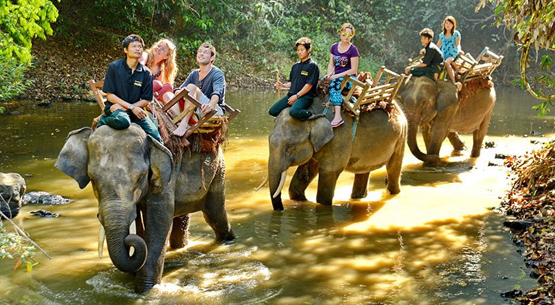 TripMyanmar's tweet photo. Explore #Tropical #forest with #elephant #ride at #Taungoo #elephant_camp in #Myanmar. Get #Tourist_Visa #Myanmar  https://t.co/1OFjjfkvQe https://t.co/RION67DXYY