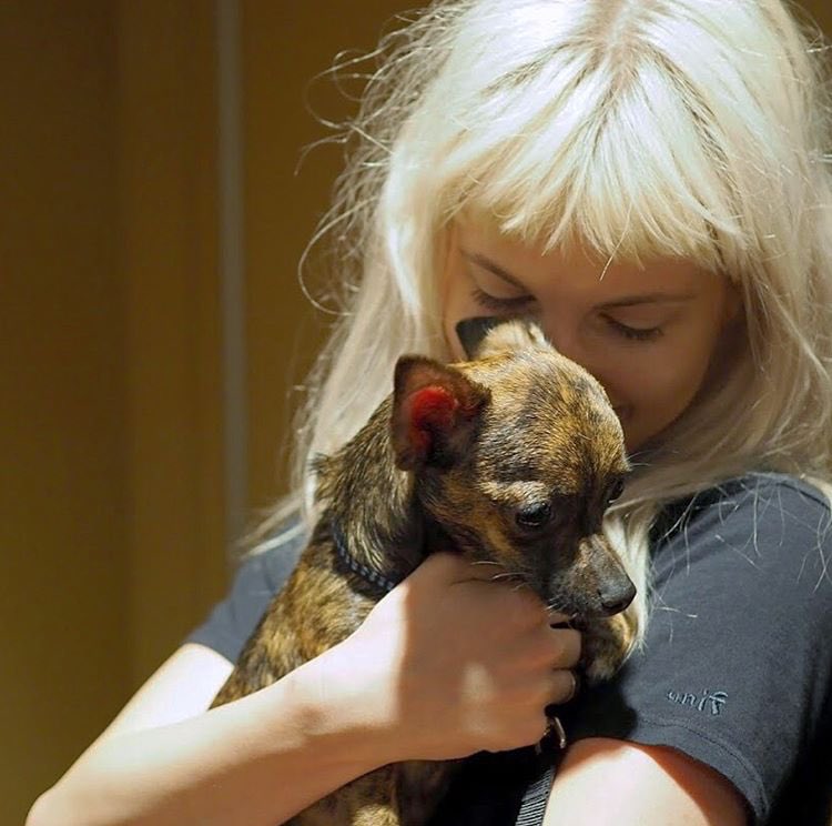 Pics of Hayley and Taylor with dogs 😍😍❤❤