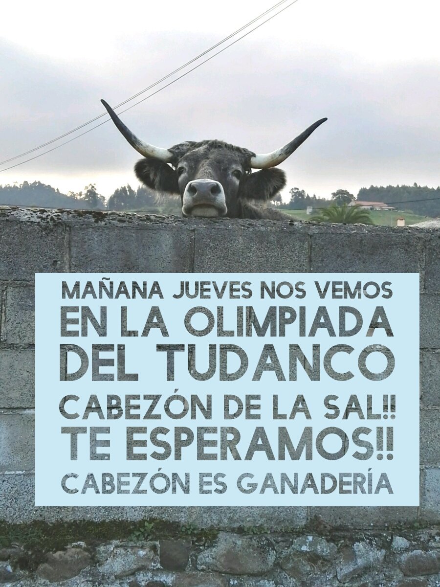 Mañana jueves día 12 te esperamos en La Olimpiada del Tudanco en <a href="/aytocabezon/">Cabezón de la Sal</a> 
Te esperamos!!