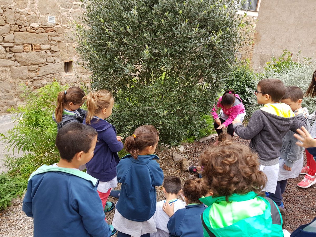 pratsdellucanes's tweet photo. Divendres es van celebrar les Jornades Europees del Patrimoni a #PratsdeLluçanès #JEP17 #JEP2017

https://t.co/IkFyvfAu1m https://t.co/R9JBRF2IL5