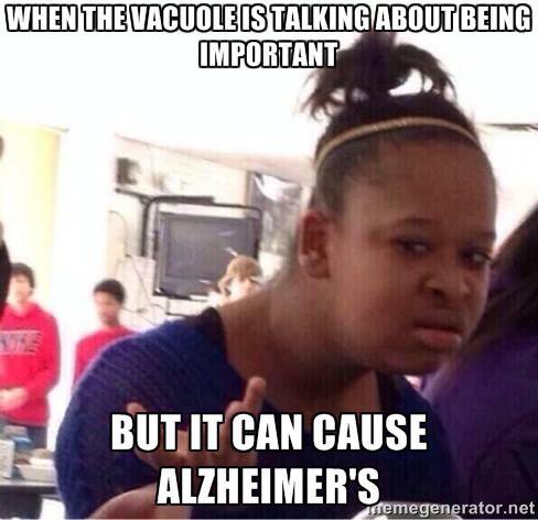realCellMembran's tweet photo. do we need it? https://t.co/DvpTS2A6ke