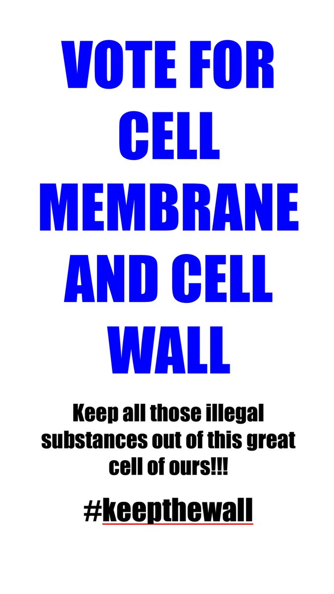 realCellMembran's tweet photo. #keepthewall https://t.co/CizHWlRfq3